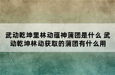 武动乾坤里林动蕴神蒲团是什么 武动乾坤林动获取的蒲团有什么用